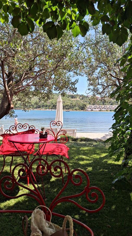 New Apartman P & B Διαμέρισμα Τρογκίρ Εξωτερικό φωτογραφία